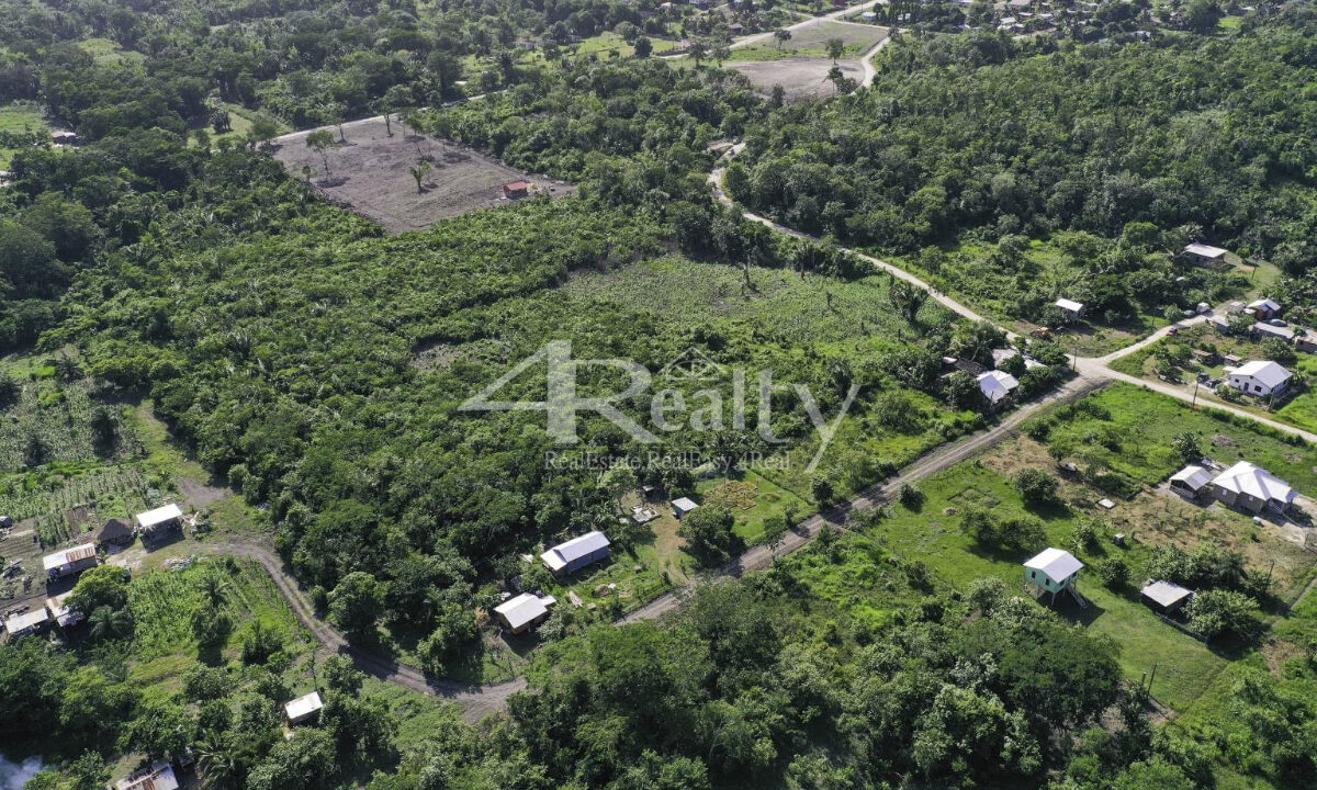 Prime 12 Acres San Ignacio South