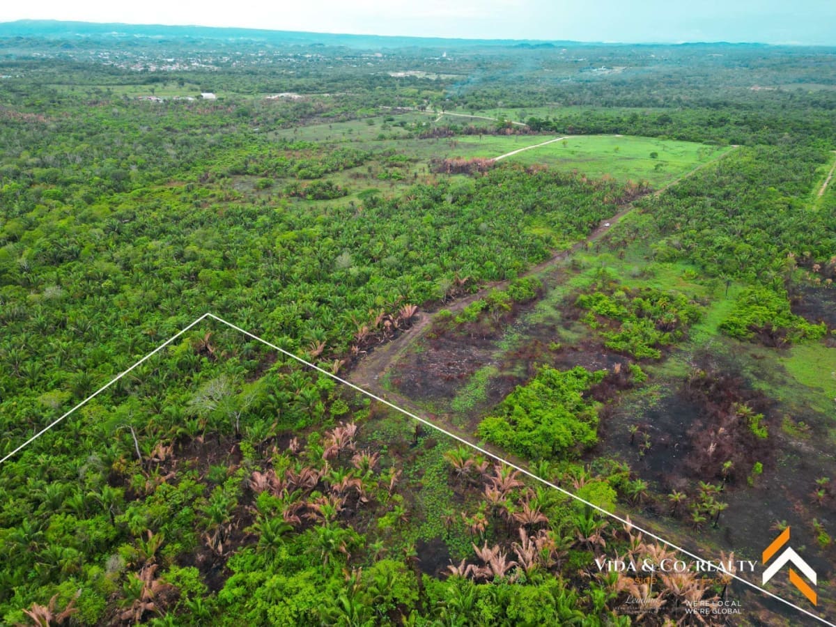 25 Acres of Land for Sale Near Belmopan, Belize Mount Pleasant