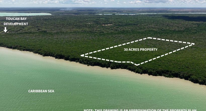 Prime 30 Acre Seafront Parcel in Corozal