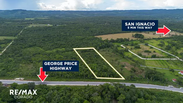 PRIME 4.17 ACRES -George Price Highway #2997233