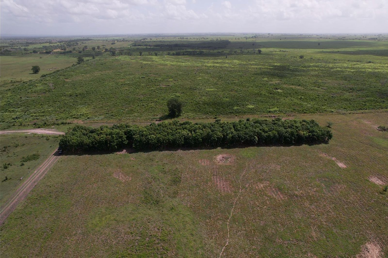 Prime Farmland in Orange Walk – 359 Acres