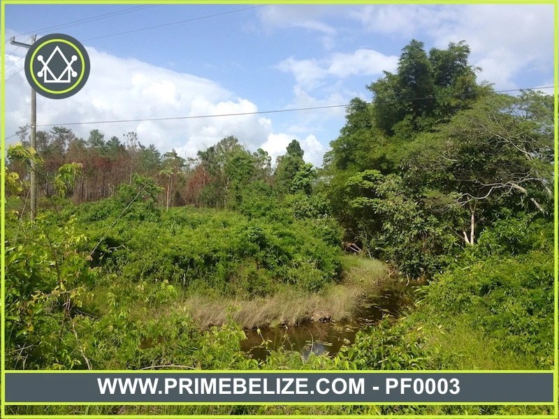 PF0003 – 22 Acres farm land north of Santa Rosa Community