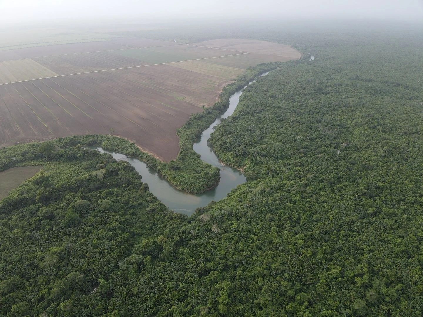 PF0010 – Fertile Farmland 9,207.85 Acres for Sale in Belize – Only $1,200 USD per Acre!