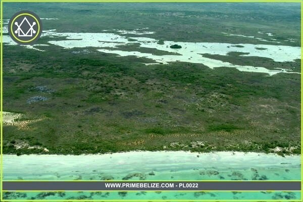 PF0022 – Large Acreage for sale in Belize – 3,500 Acres in Shipstern