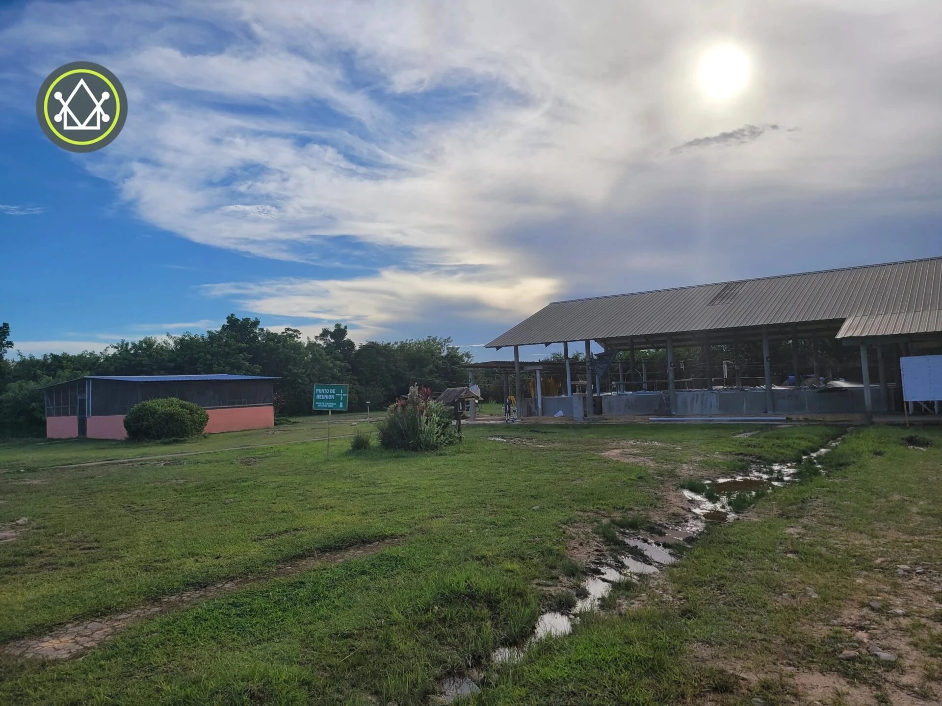 PF0023 – Banana Farm For Sale – Fully operational