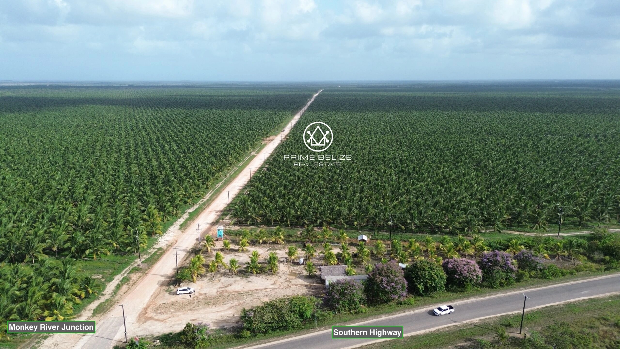 PF0049 – Premier Turnkey Coconut Plantation & Agribusiness in Southern Belize