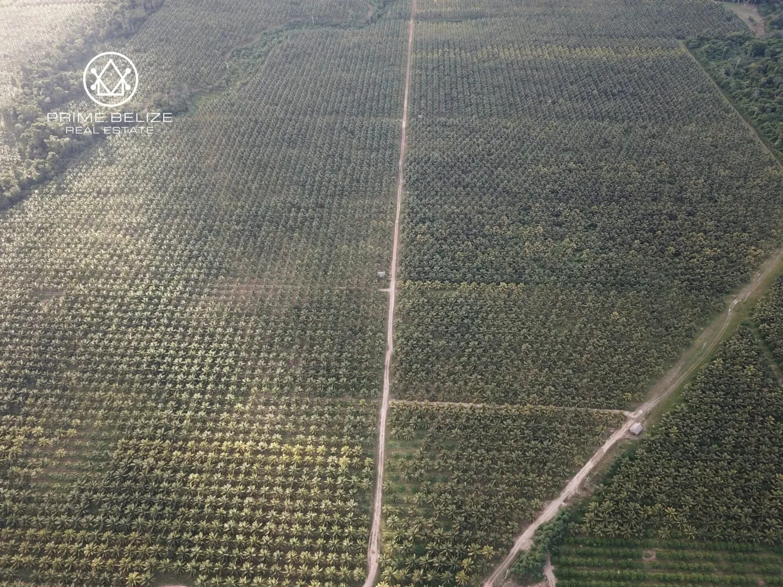 PF0058 – TexStar Farm – 820 Acres of Prime Agricultural Land – Southern Highway