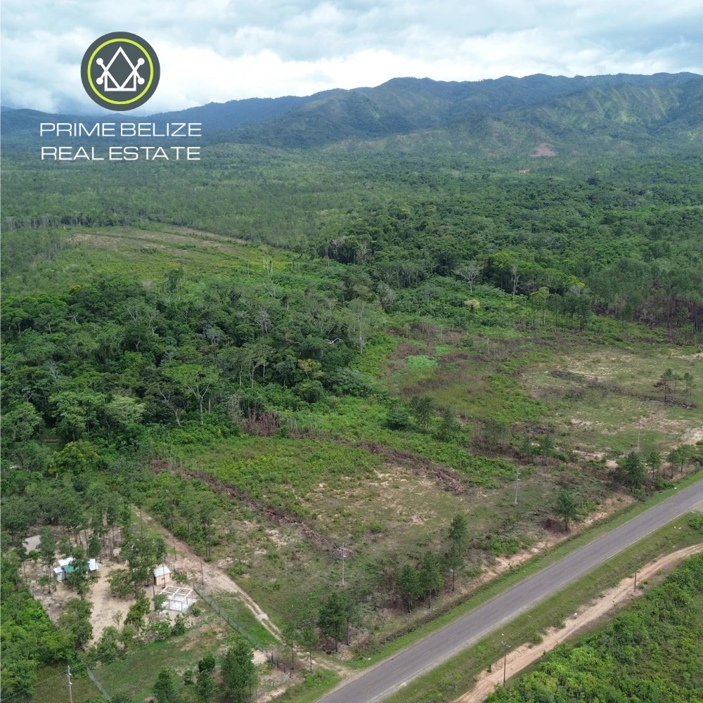 PF0067 – 100-Acre Commercial Farmland for Sale – Southern Highway, Belize