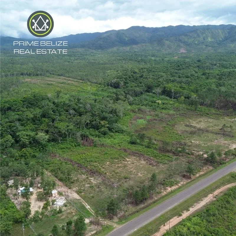 PF0067 – 100-Acre Commercial Farmland for Sale – Southern Highway, Belize
