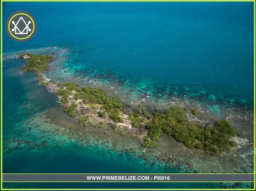 PI0016 – South Saddle Caye