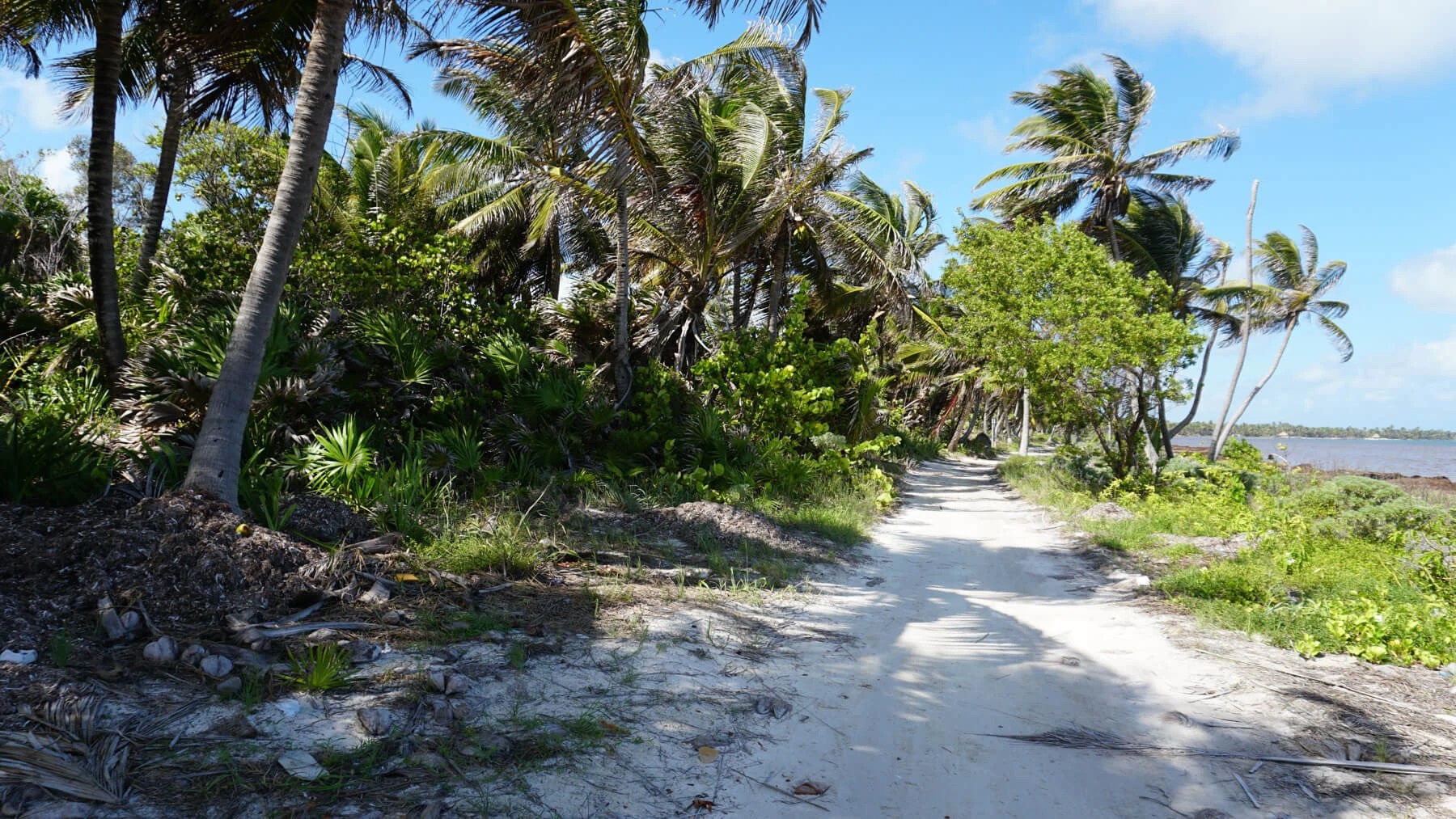 PL0077 – Beachfront property 9 miles north of San Pedro Town