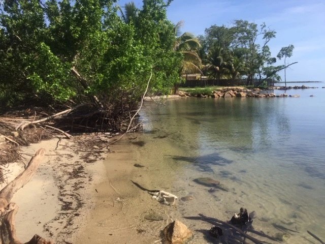 PL0098 – 1.15 Acre Prime Beachfront Property for Sale in Commerce Bight, Dangriga Town