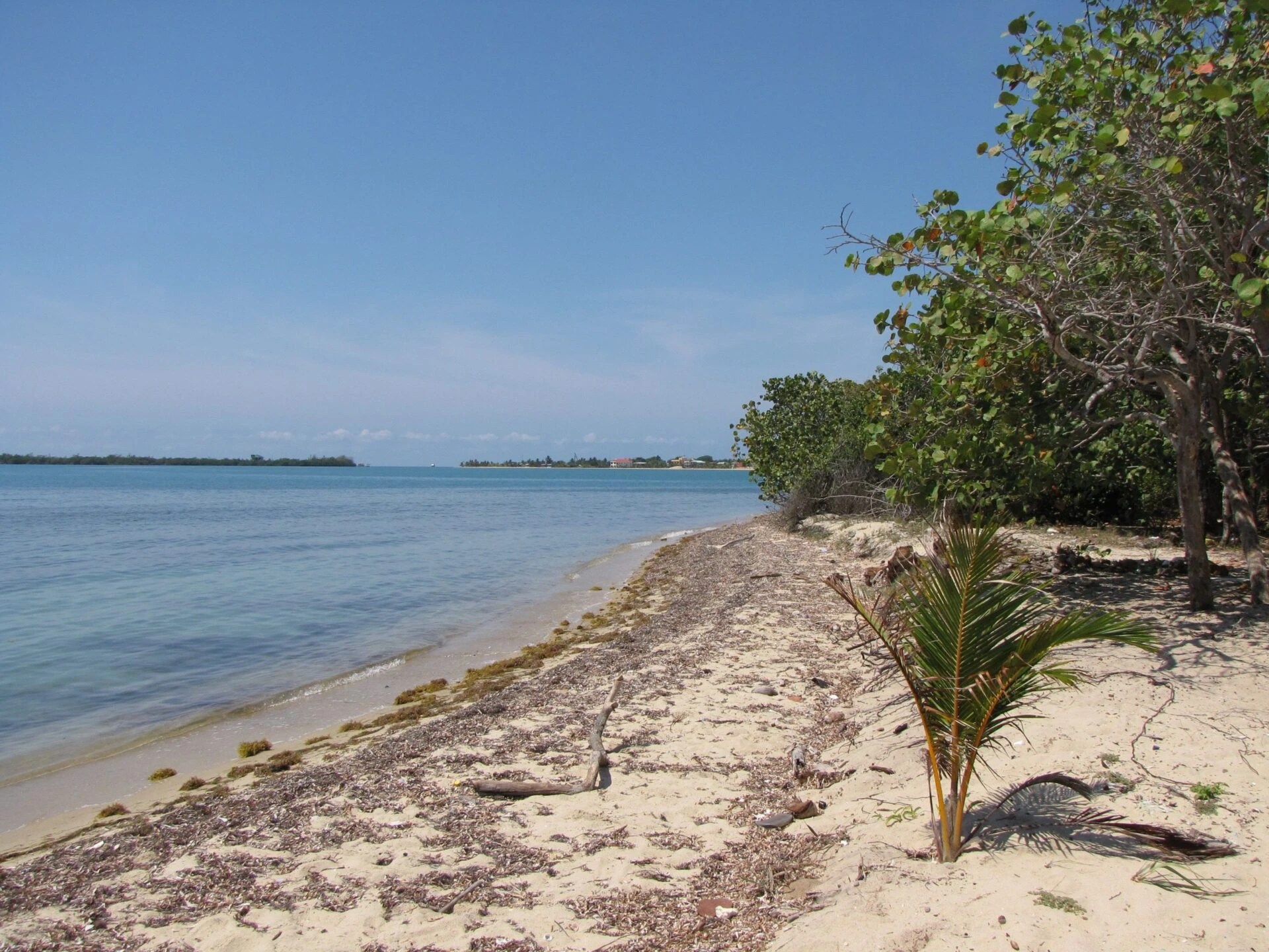 PL0109 – BEACHFRONT DEVELOPMENT – 350+ ft – DISCREET SALE