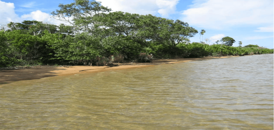 PL0172 – 200 Acres of Untouched Beachfront Near Sapodilla Lagoon