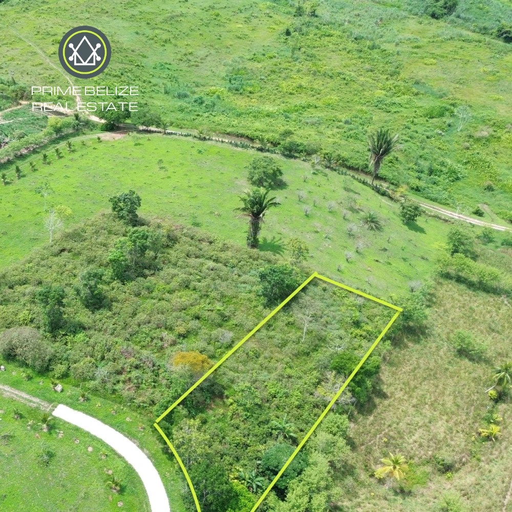 PL0234 – Private Gated Mountain View Lot for Sale off Hummingbird Highway, Middlesex, Belize