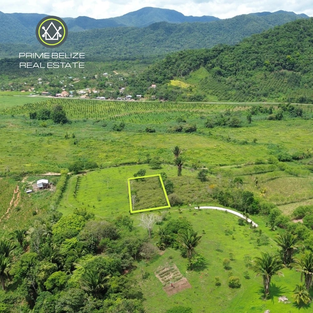 PL0240 – Lot 7 – Motivated Seller! Private 0.453-Acre Lot in Gated Middlesex Community