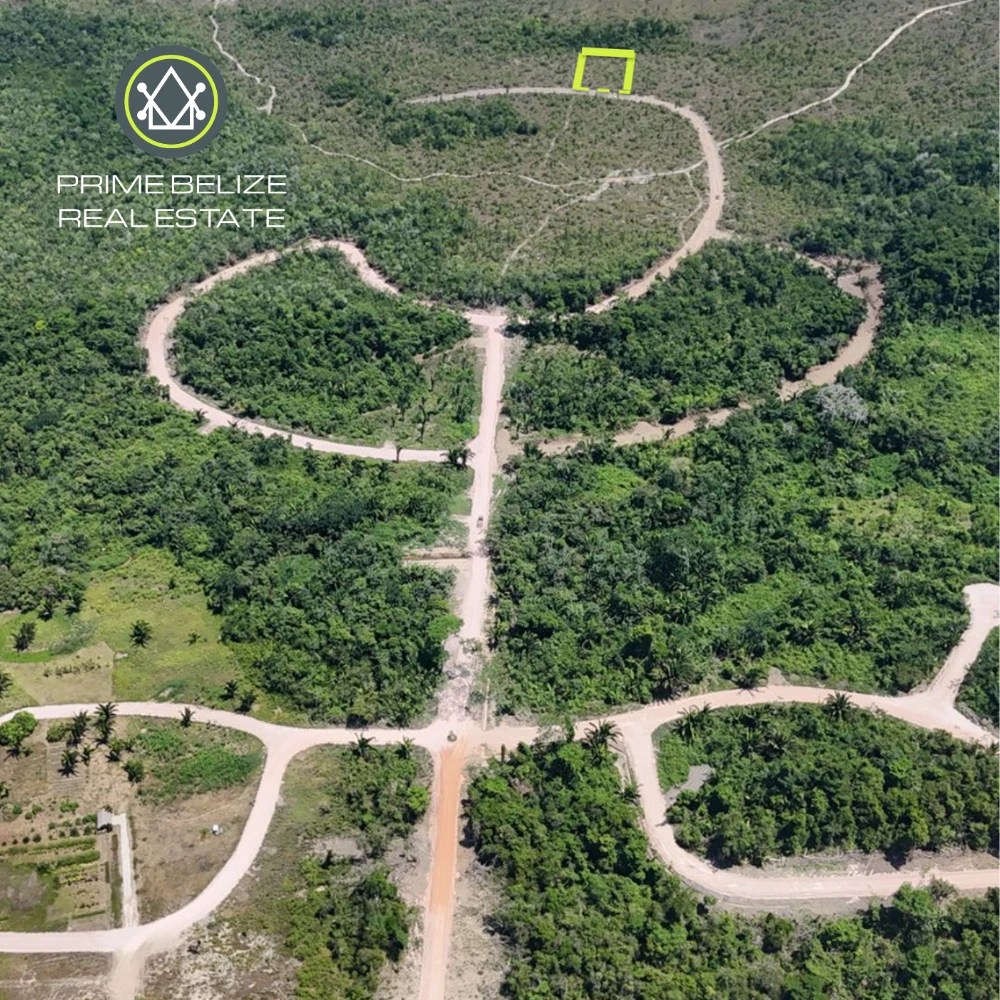 PL0248 – Build Your Belize Dream in a Wellness-Focused, Nature-Centered Community, Holistica Belize