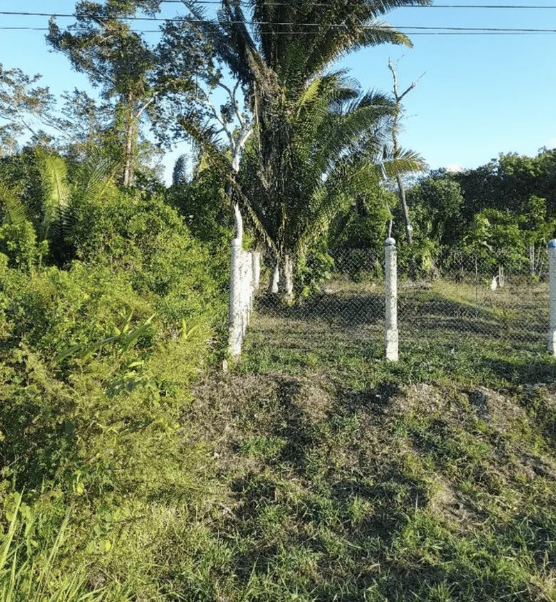 PRISTINE 5.4 ACRES COMMERCIAL-INDUSTRIAL ESTATE WESTERN HIGHWAY BELMOPAN CITY