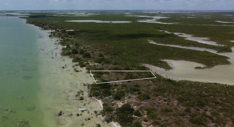Pristine Half Acre Seafront Lot for Sale in Sarteneja, Corozal