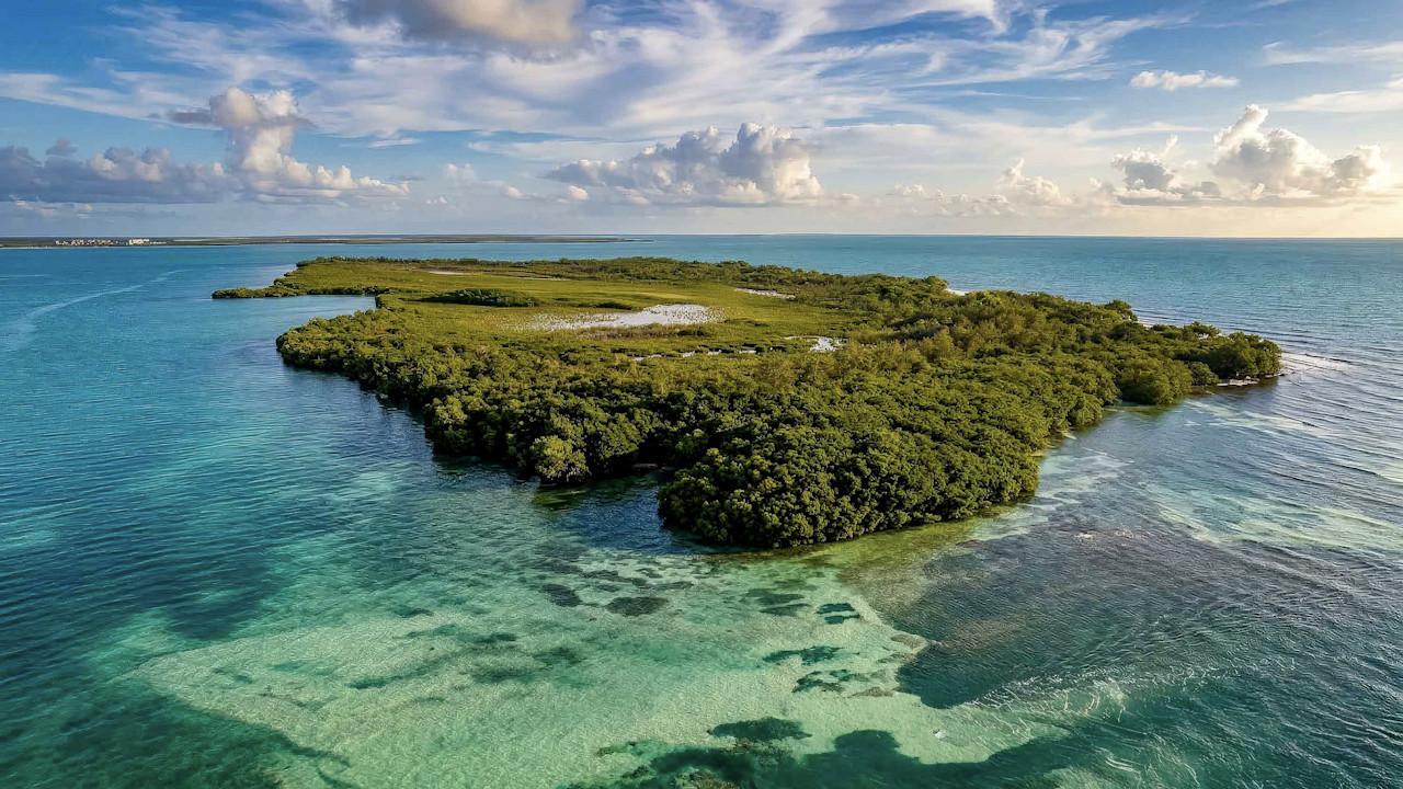 Sirena Caye