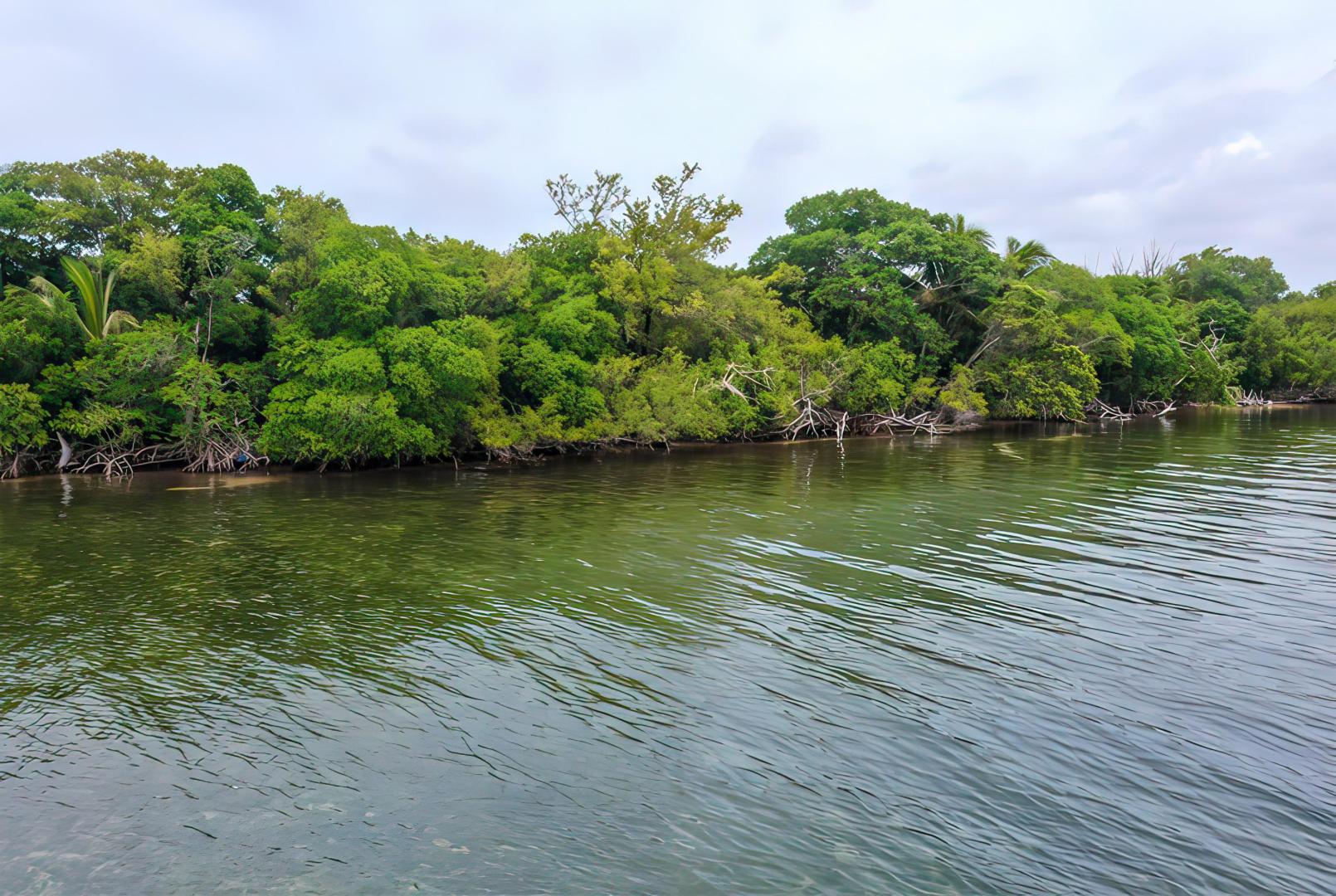 Turneffe Island West Parcel