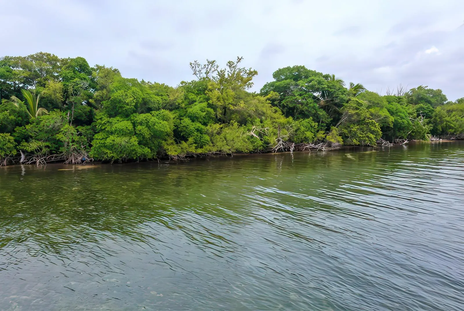 Turneffe Island West Parcel