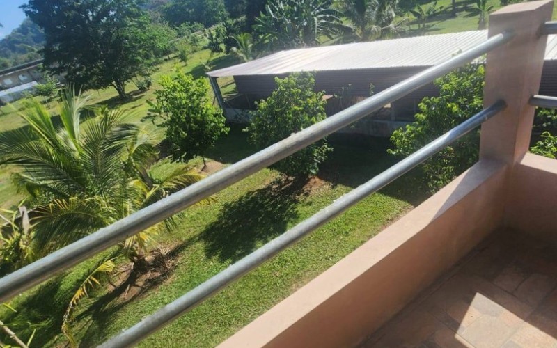 #Punta Gorda Sustainable Farm Estate