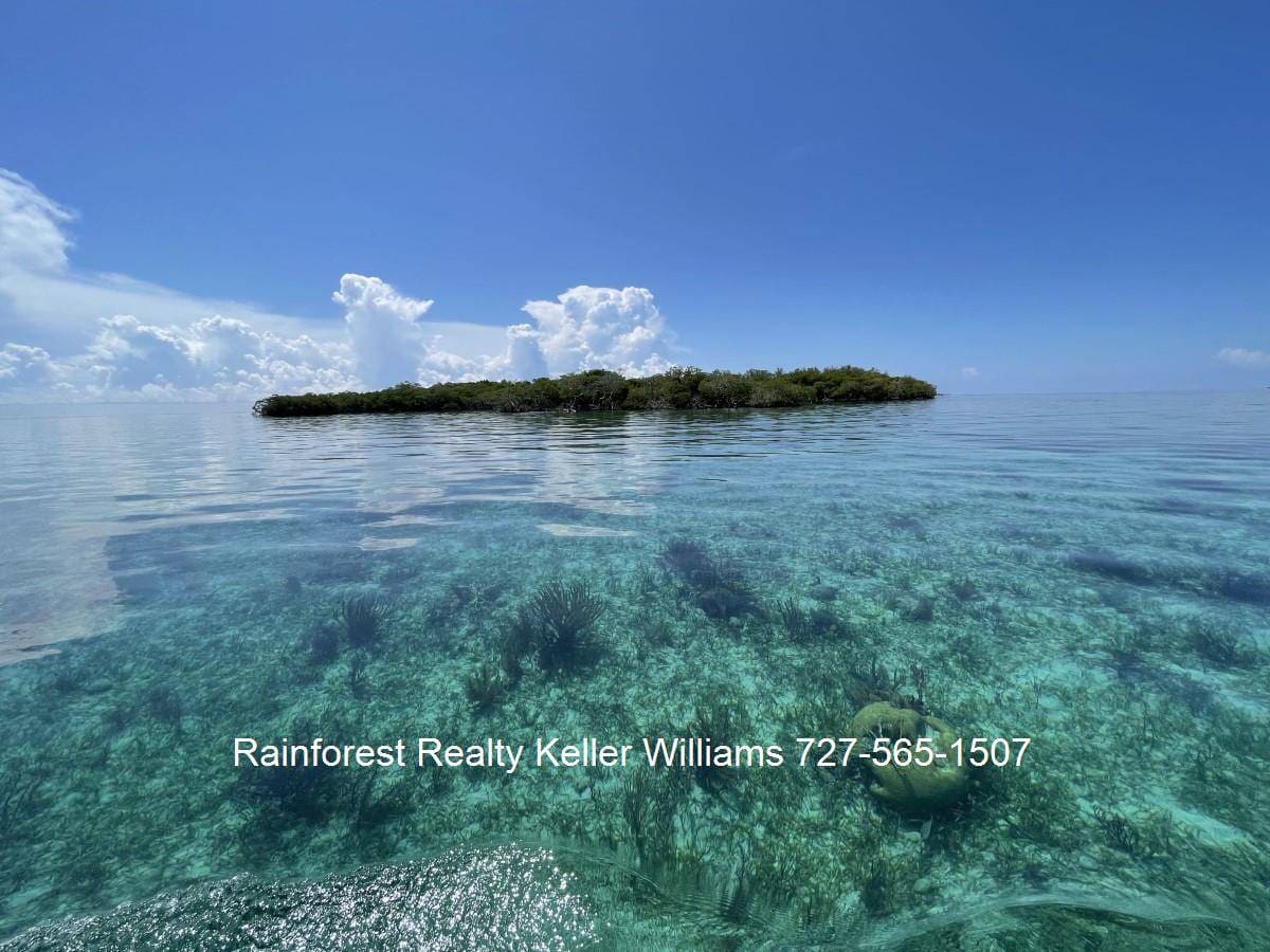 0.25 Acre Island in the Channel Cayes
