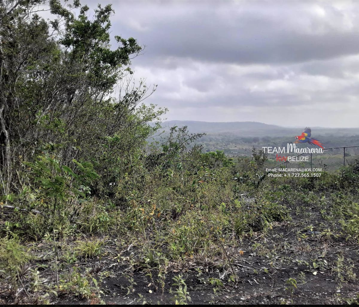 Picturesque 5 Acres with Mountain Top Views