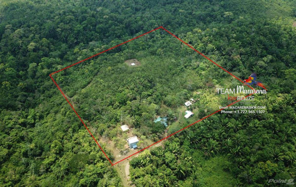 Lost World Jungle Resort in Hummingbird Highway