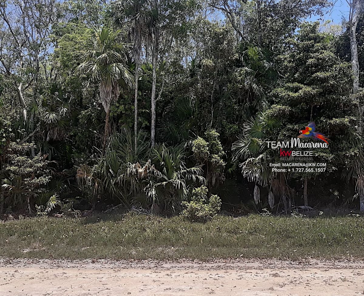 Double Lots in Consejo Shores