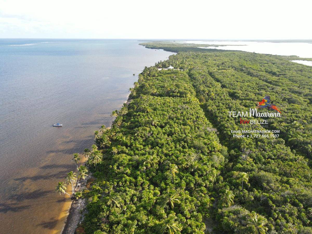 Beachfront Lot at Palm Bay Club in Ambergris Caye