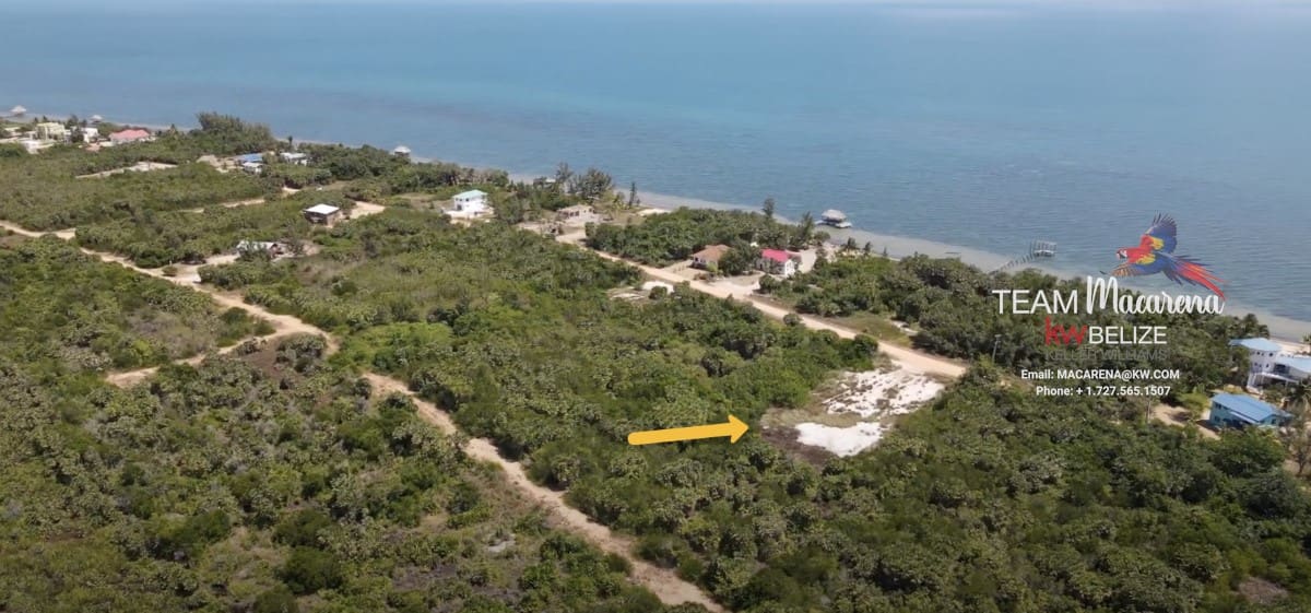 Placencia Seaview Lot