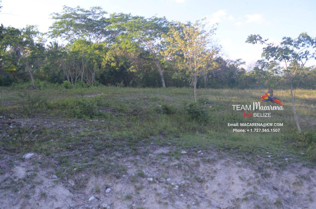 Residential Lots in Bullet Tree