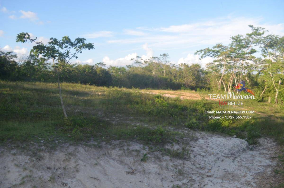 Residential Lots in Bullet Tree