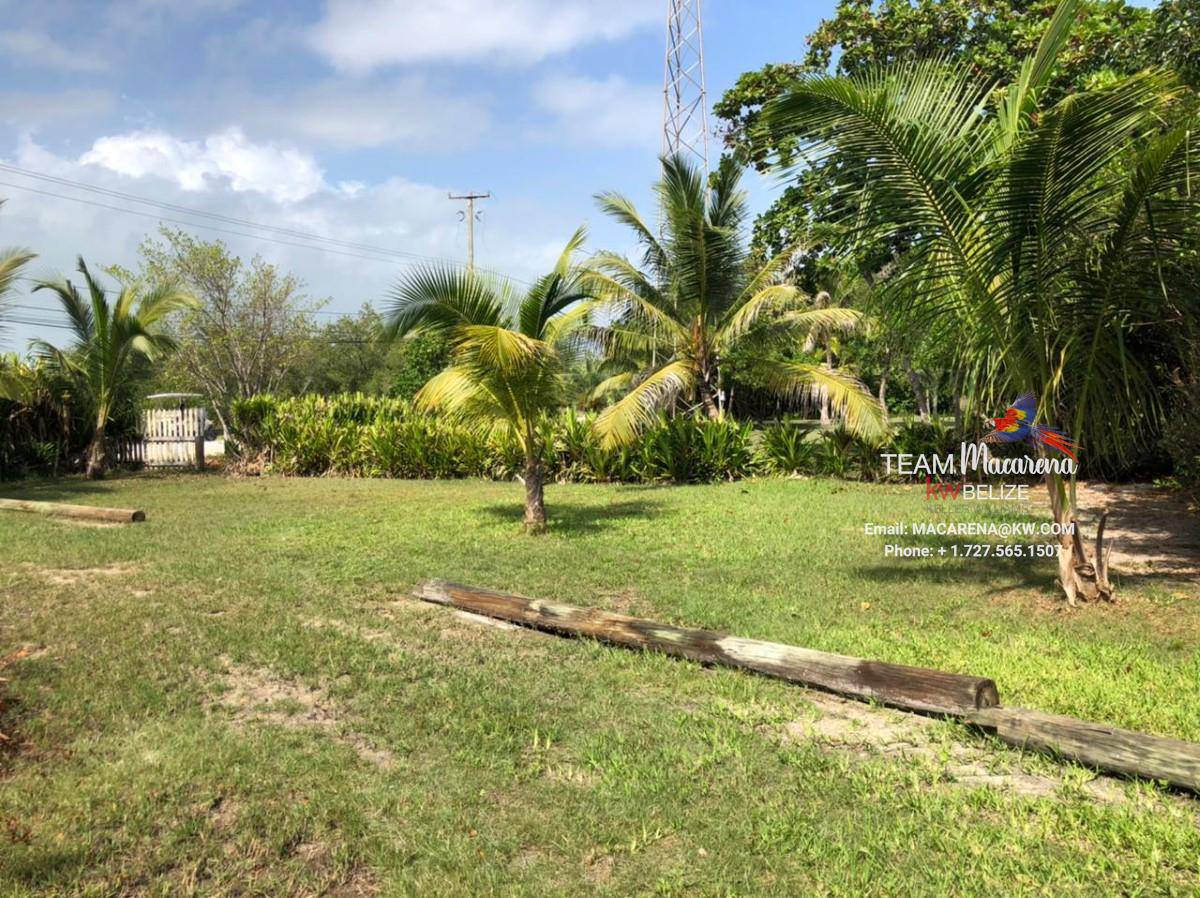 Island Lots on Ambergris Caye Island