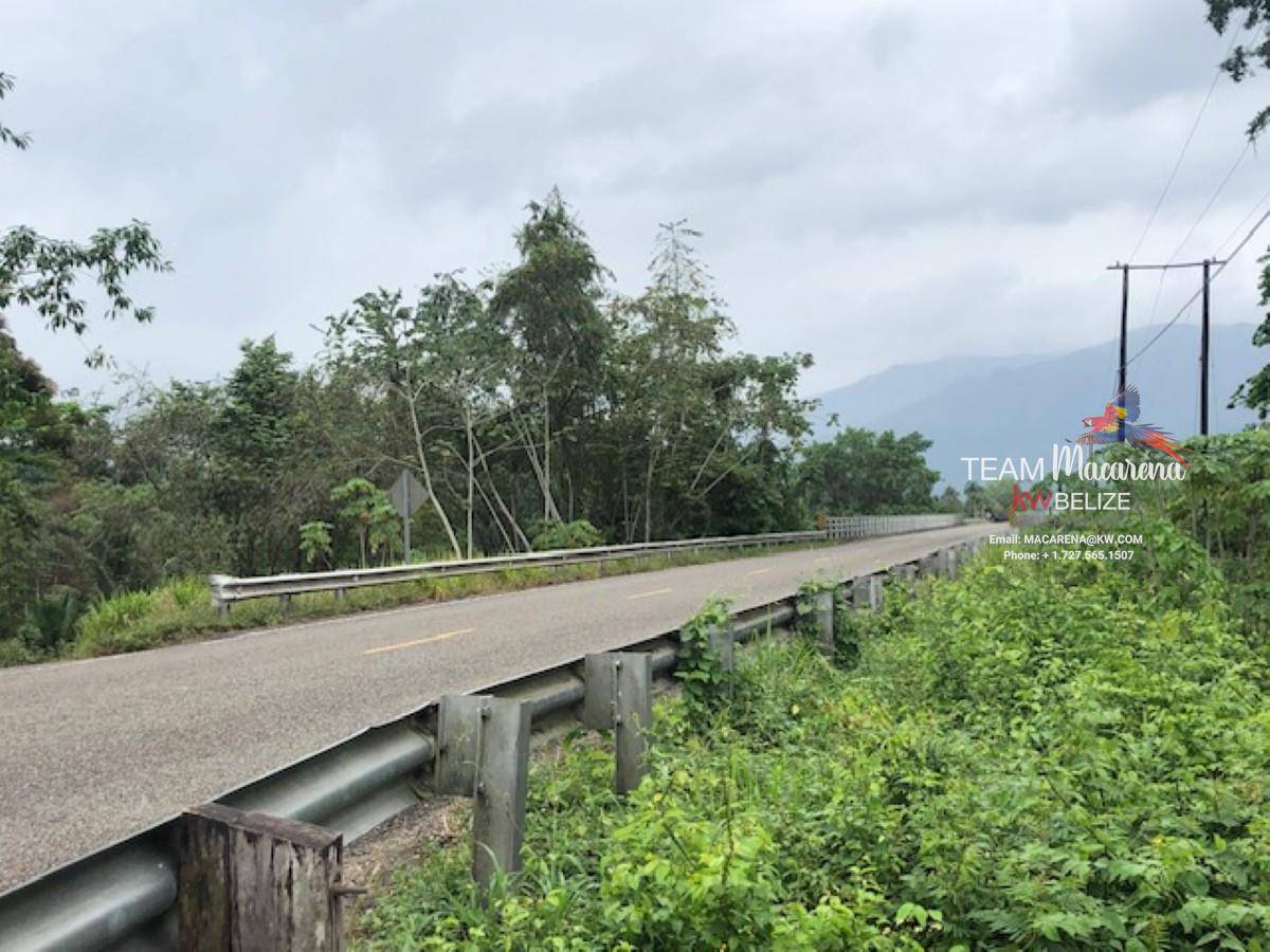 37 Acres on Humingbird Highway Cayo District