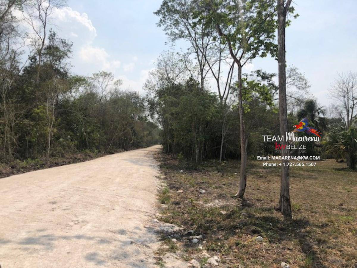 Five Prime Lots in San Ignacio