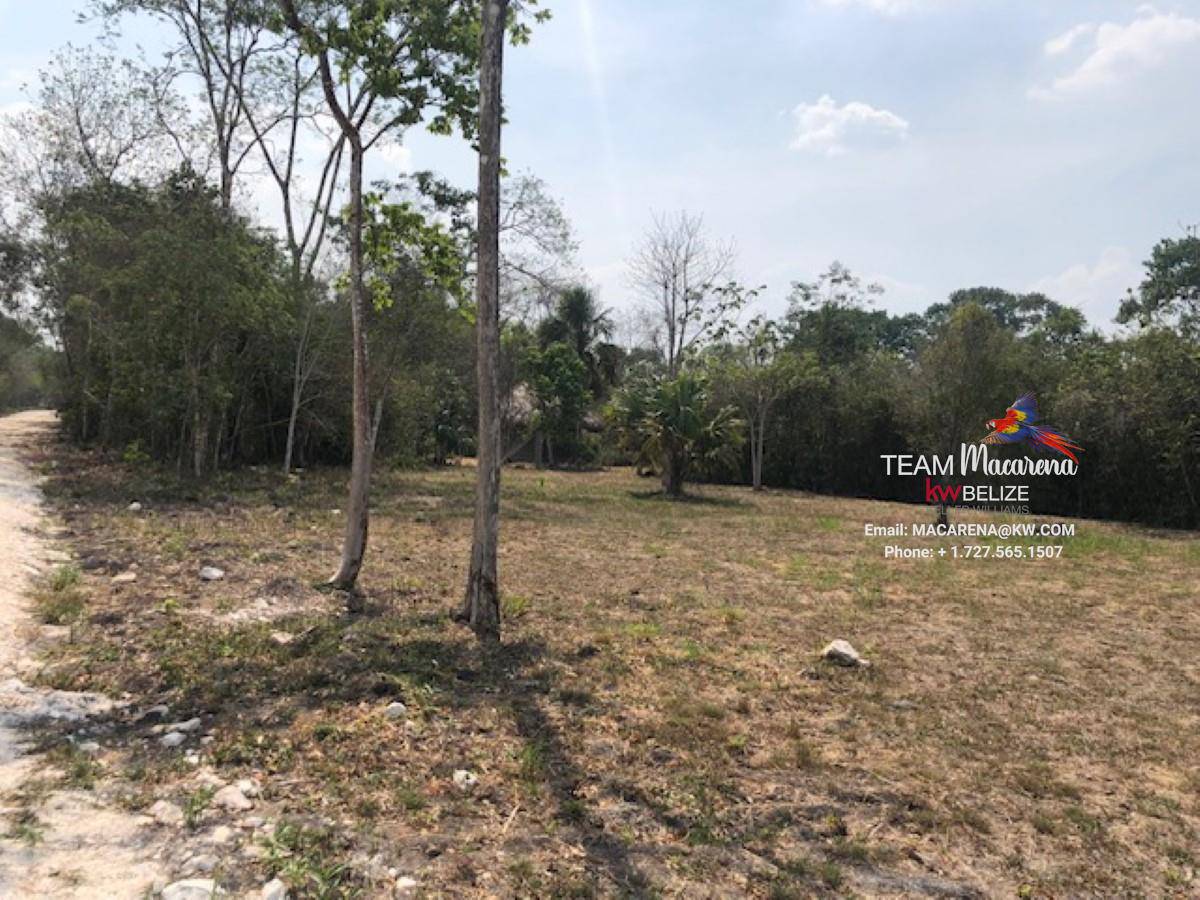 Five Prime Lots in San Ignacio