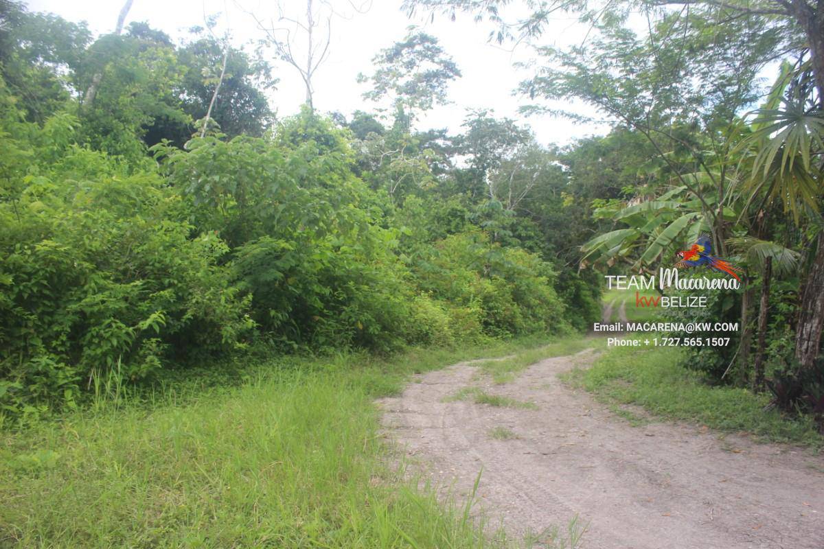 6 Acres between Bullet Tree Village and San Ignacio