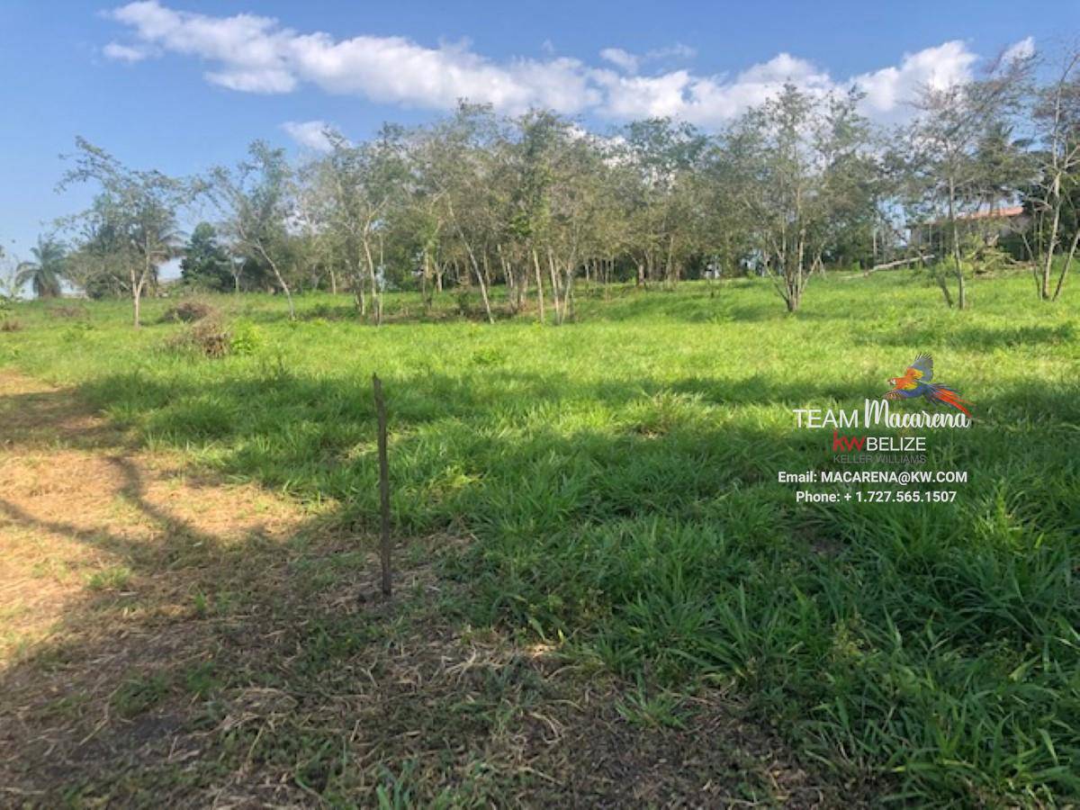 Two Great Lots with Views in San Ignacio