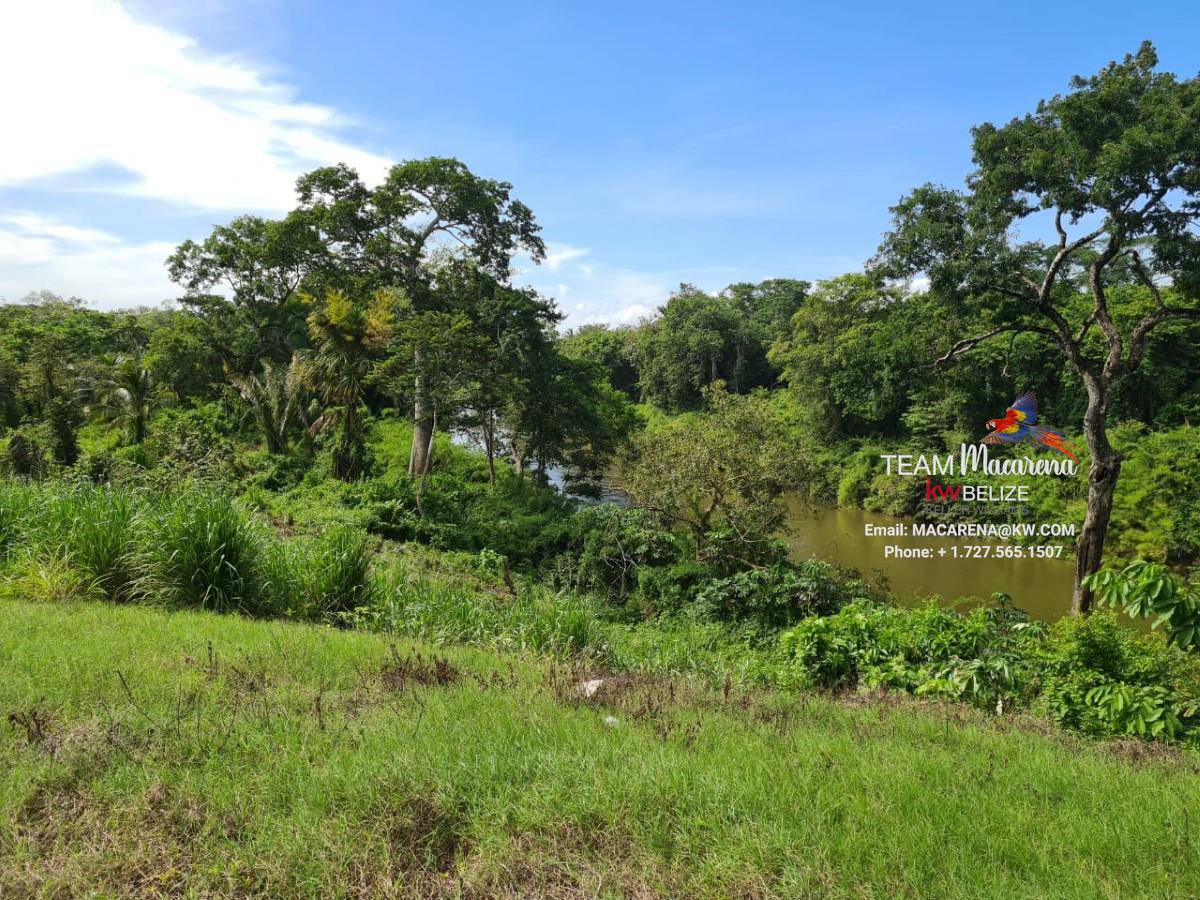 10 Acre Riverside Farmland
