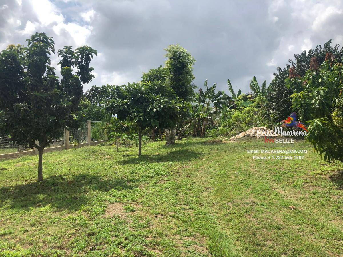 Fenced Lot in Quiet Residential Area