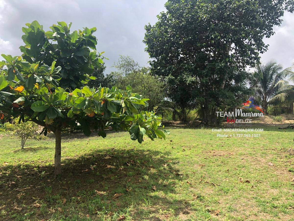 Fenced Lot in Quiet Residential Area