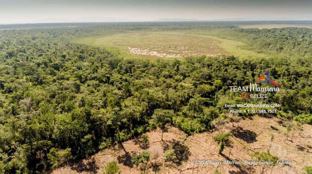 50 Acres Pristine Jungle Land in Toledo District