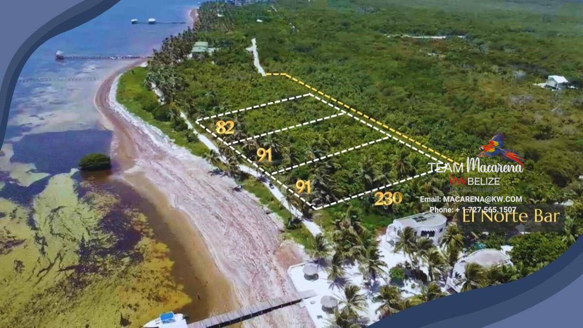 Two Spectacular Beachfront Lots in Habaneros