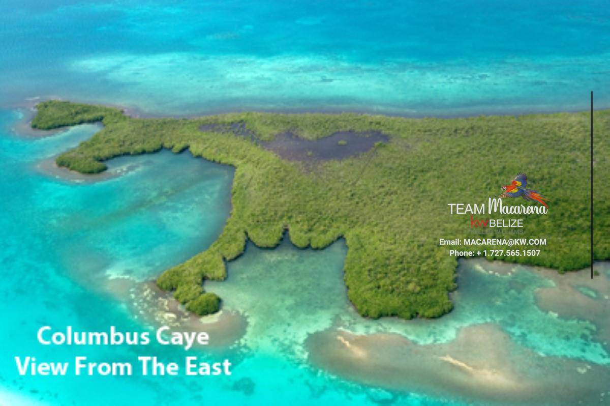 41 Acres on the Southern Half of Columbus Caye