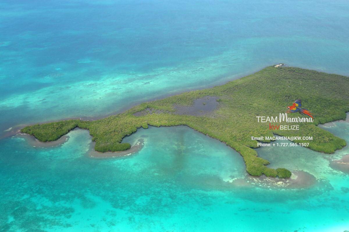 41 Acres on the Southern Half of Columbus Caye