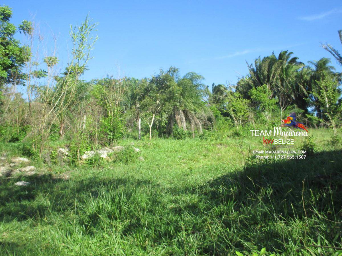 3.5 Acres Lot Esperanza Cayo
