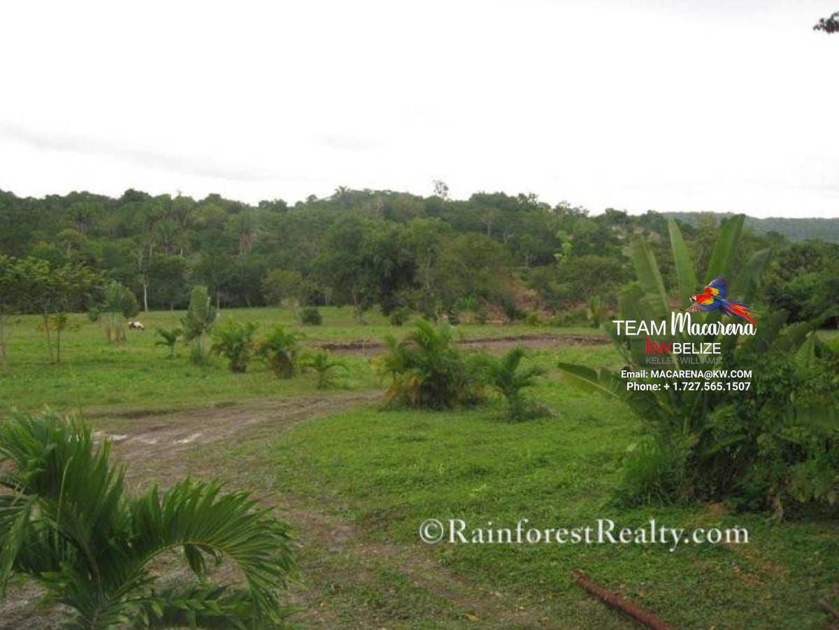 Gaia Way Estate Lots